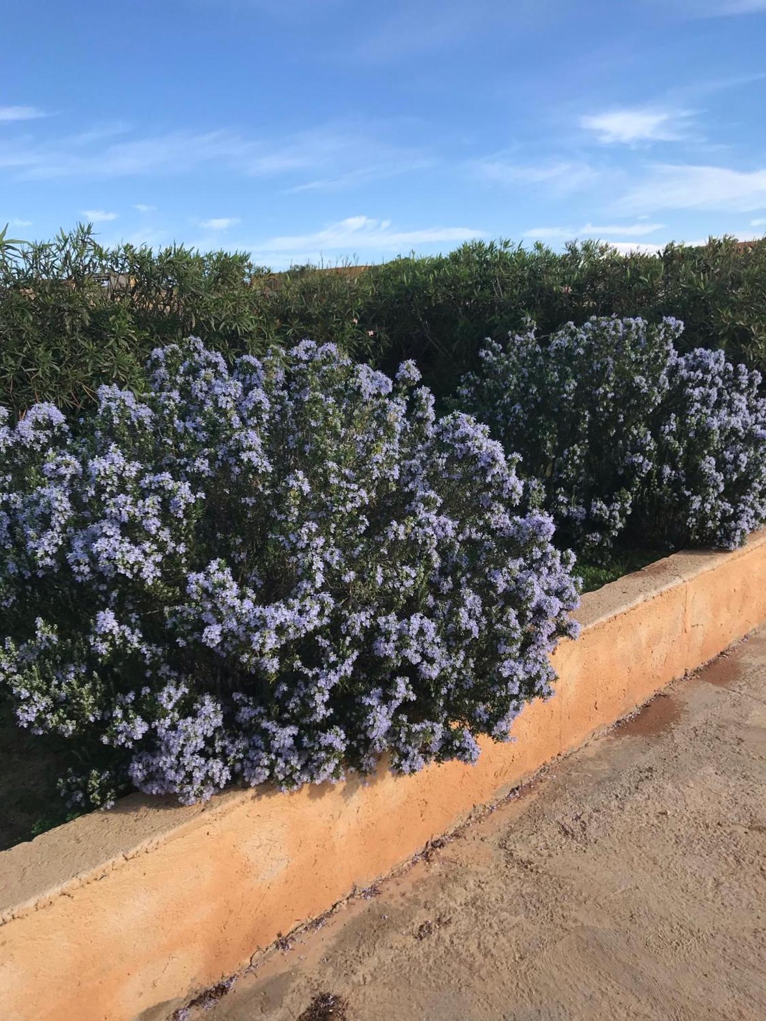 Dammuso Villa Lampedusa Exterior photo